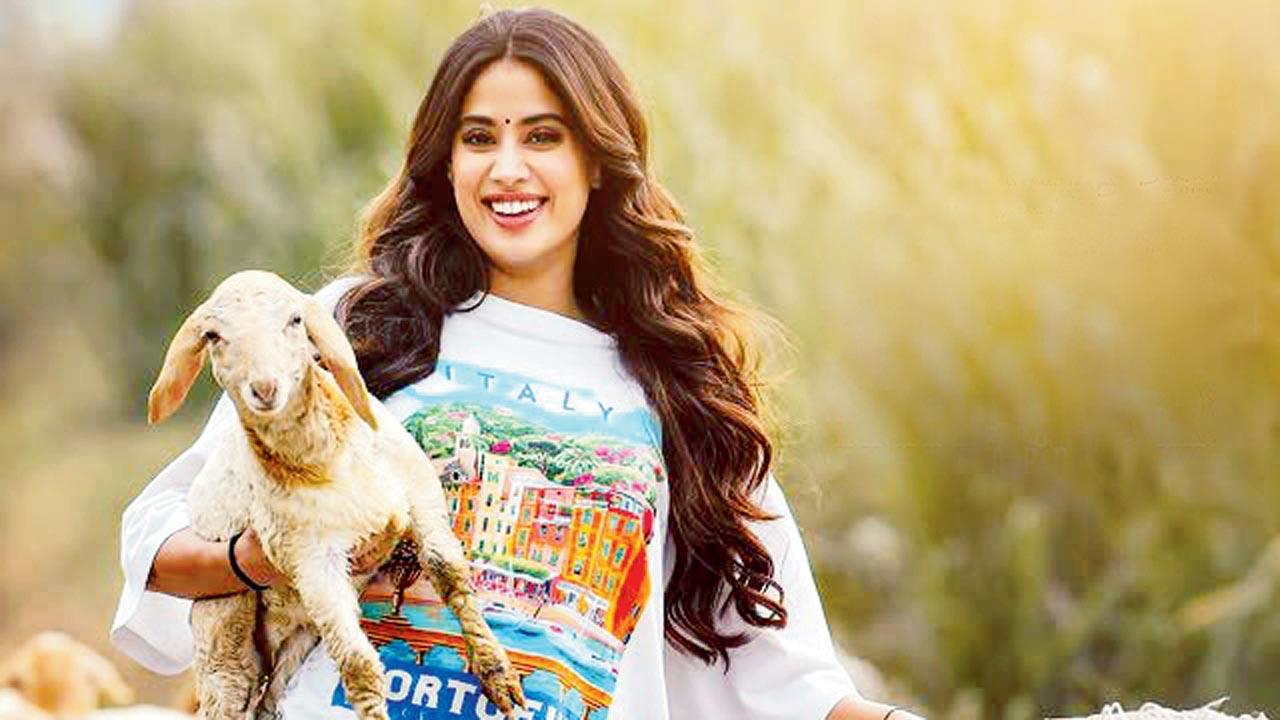  Janhvi Kapoor 