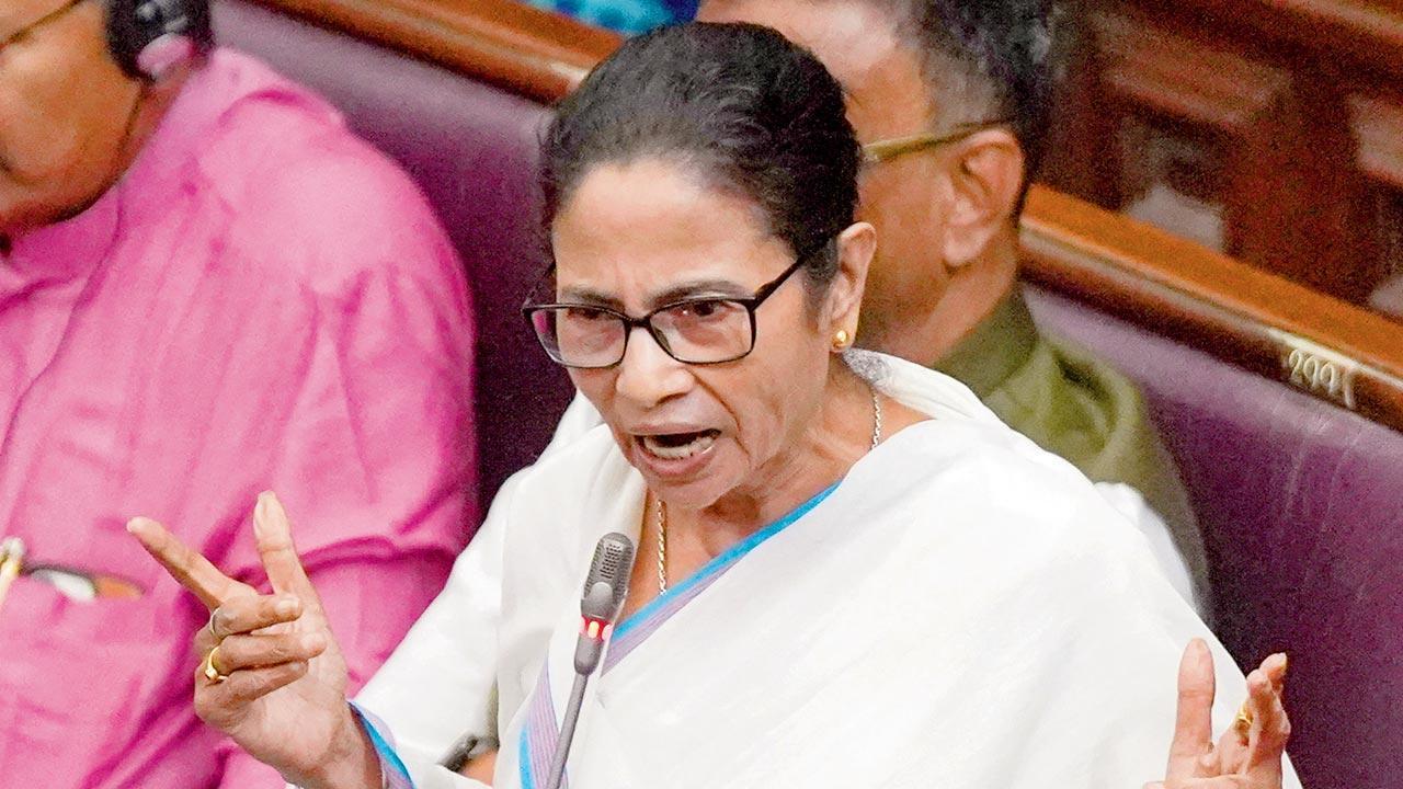 BJP importing fake Hinduism, says Mamata