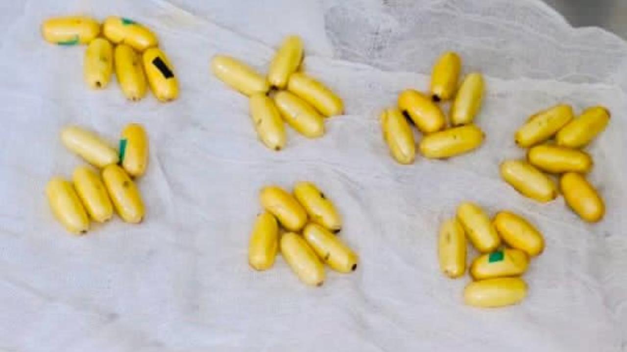 Mumbai Customs seize drugs, gold dust worth over Rs 11 crore at airport