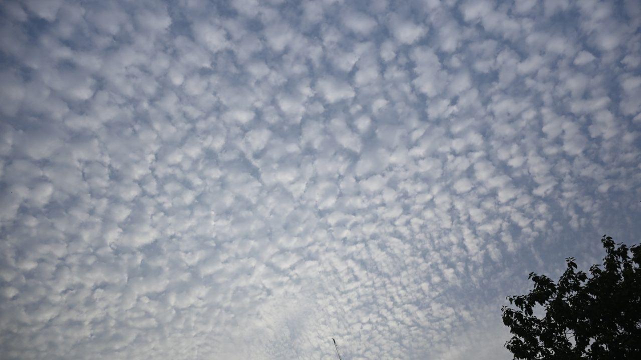 As per IMD, Mumbai recorded the minimum temperature of 23 degree Celsius and maximum temperature of 36 degrees Celsius 