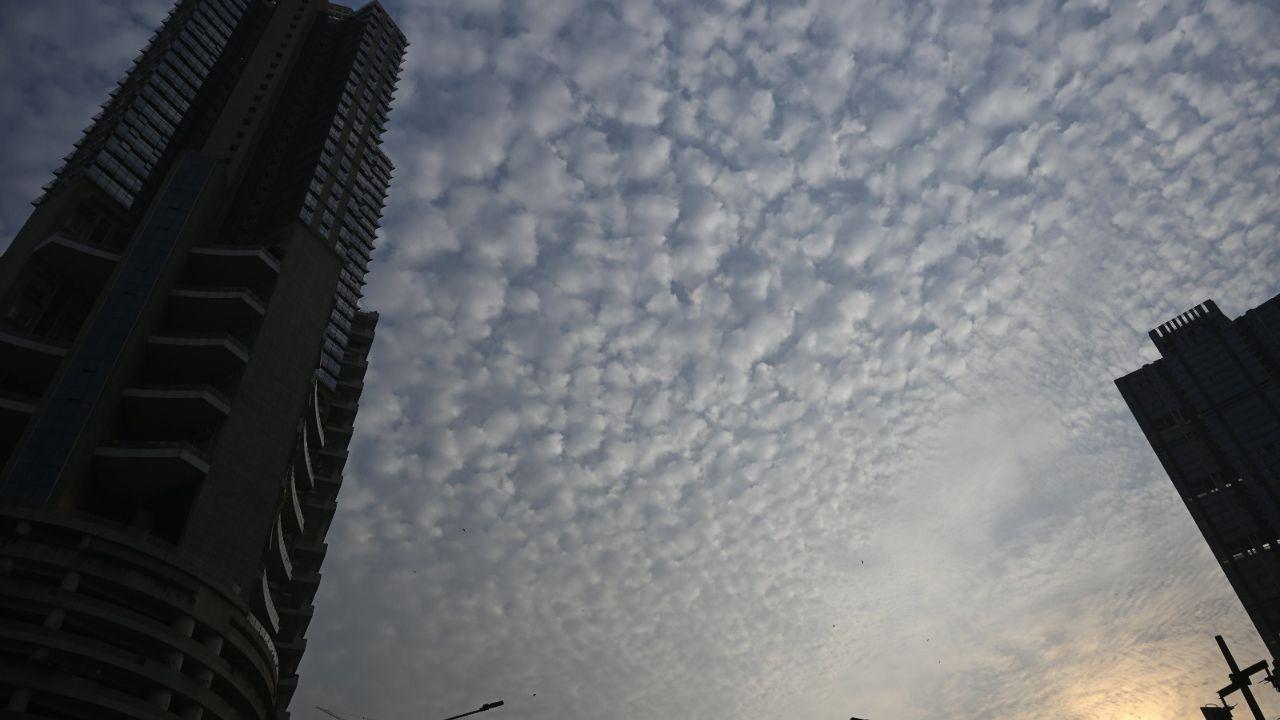 Clear skies are expected in the next 48 hours, too, IMD reported
