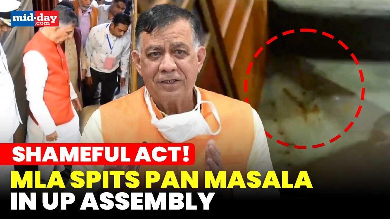 Shocking! MLA spits 'pan masala' in UP Assembly; Speaker takes strict action