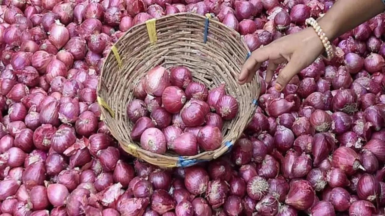 Farmers protest atop water tank at Lasalgaon APMC over onion price drop
