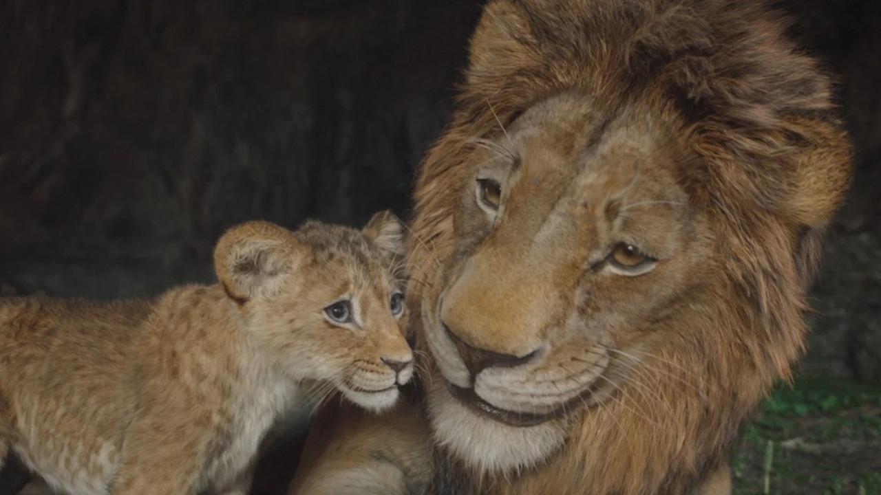 Mufasa: The Lion King (JioHotstar, March 26) 
‘Mufasa: The Lion King’ enlists Rafiki to relay the legend of the unlikely rise of the beloved king of the Pride Lands, introducing an orphaned cub called Mufasa, a sympathetic lion named Taka—the heir to a royal bloodline—and their expansive journey alongside an extraordinary group of misfits. The all-new feature film is directed by Barry Jenkins