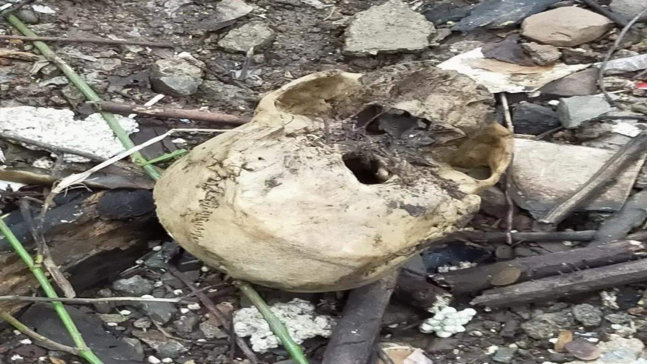 Human skeleton found in suitcase near cemetery in Kollam