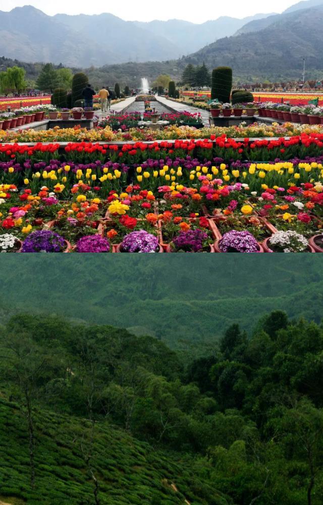 5 destinations to explore in India during spring season