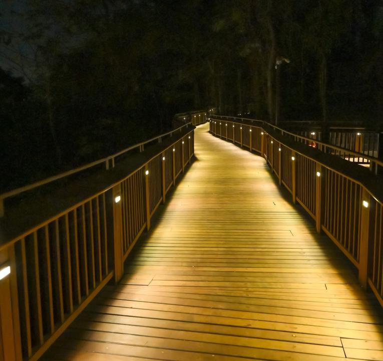 Mumbai unveils first-ever nature elevated walkway at Malabar Hill