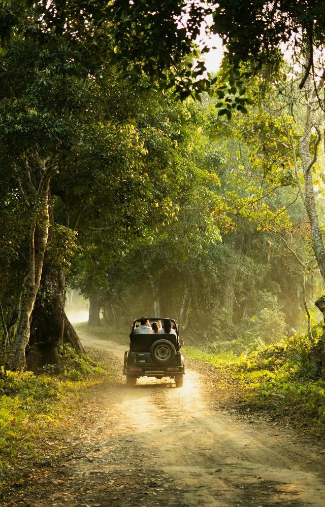 Wildlife Day: 5 wildlife safari places to explore in India