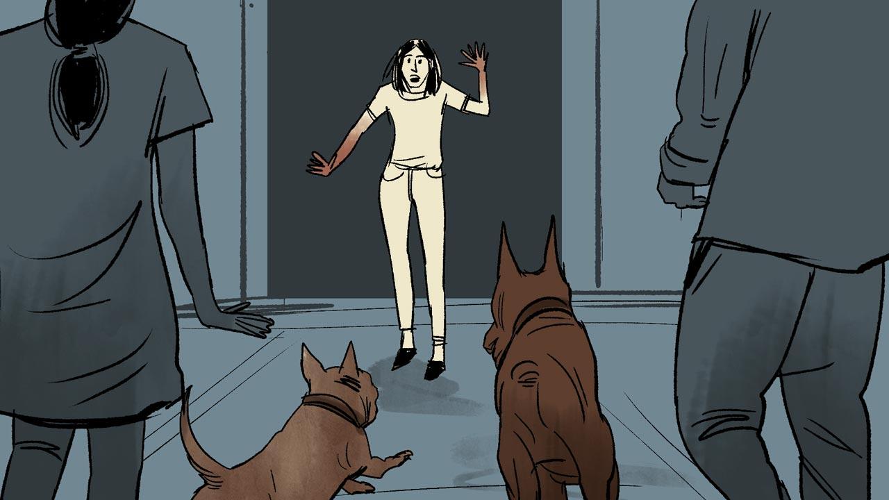 2 After the dogs are let out of the car, the pit bull, on spotting the woman, charges at her first. The Doberman follows