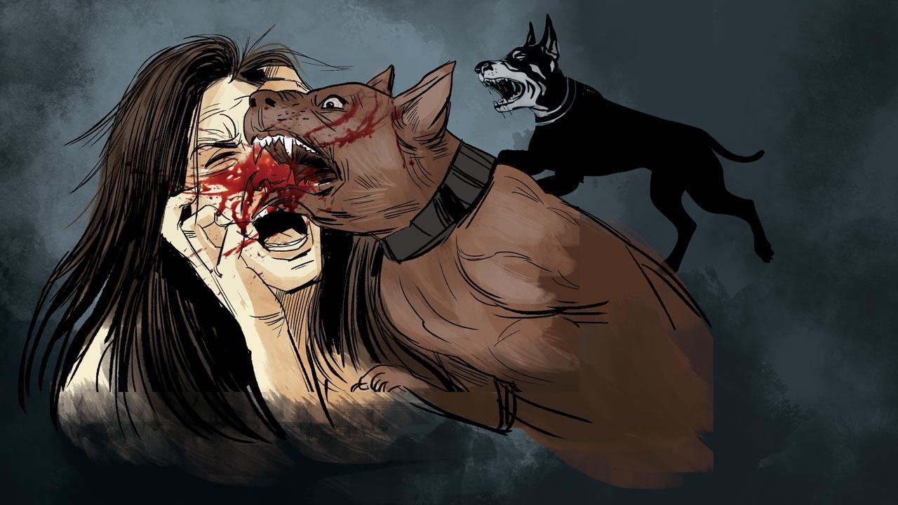 Double dog attack in Mumbai: Powai woman gets 20 stitches to face 