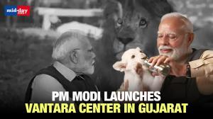 PM Modi opens Vantara Animal Rescue Center in Jamnagar