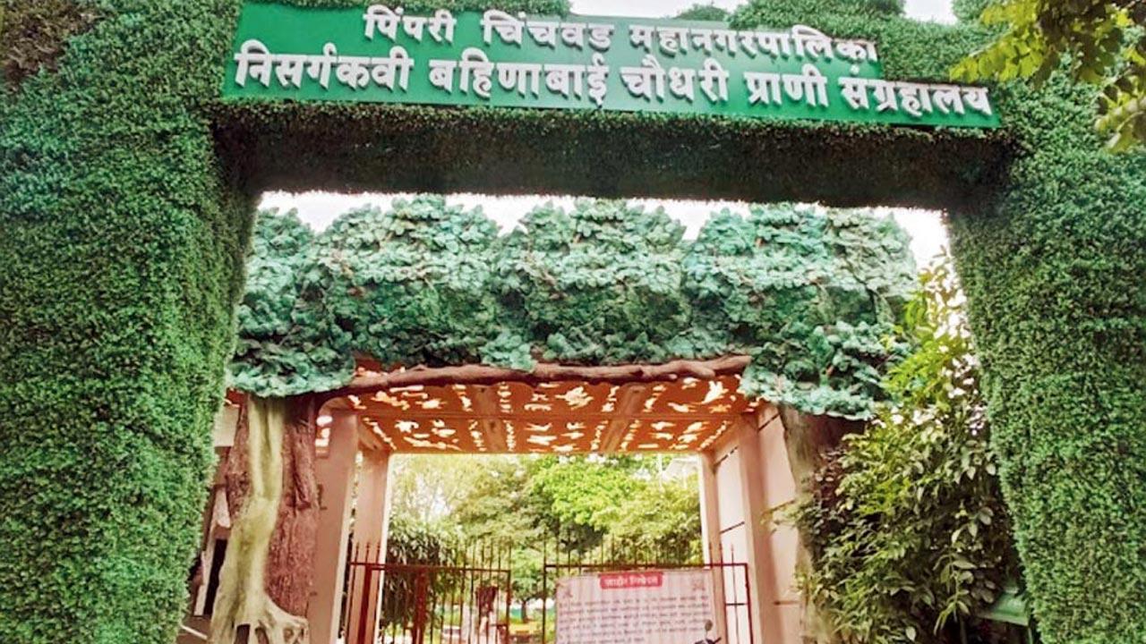 Pune’s second zoo faces endless delays amid costly overhaul