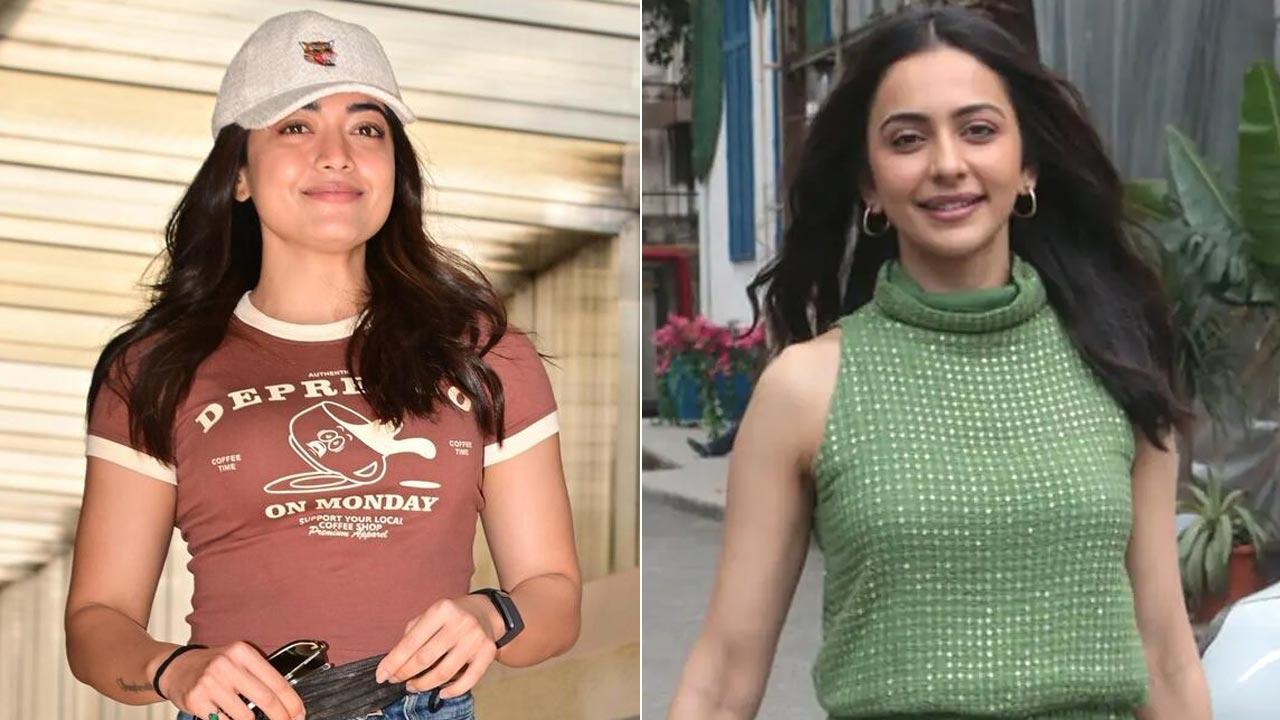 Rashmika, Rakul and others shower love on Vicky Kaushal's 37th birthday