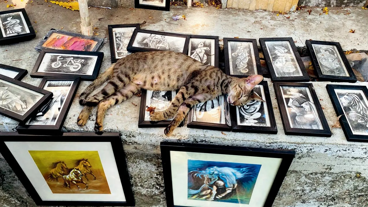 Mumbai Diary: Sunday Dossier