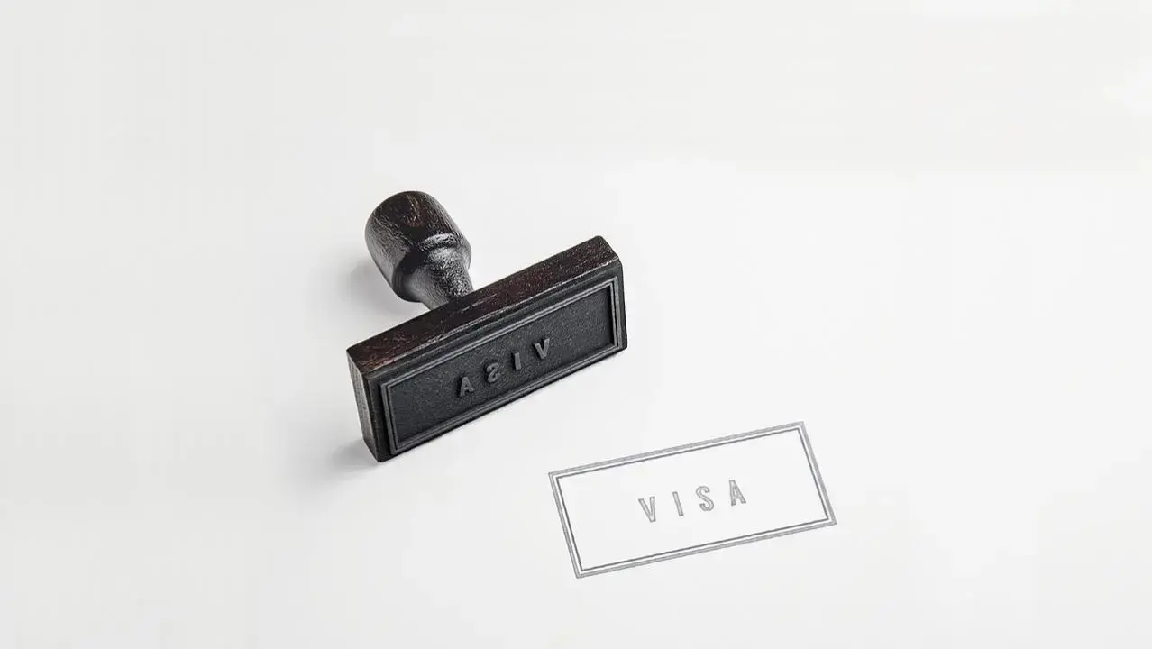 42 per cent drop in visa applications to Turkey, Azerbaijan from India: Report