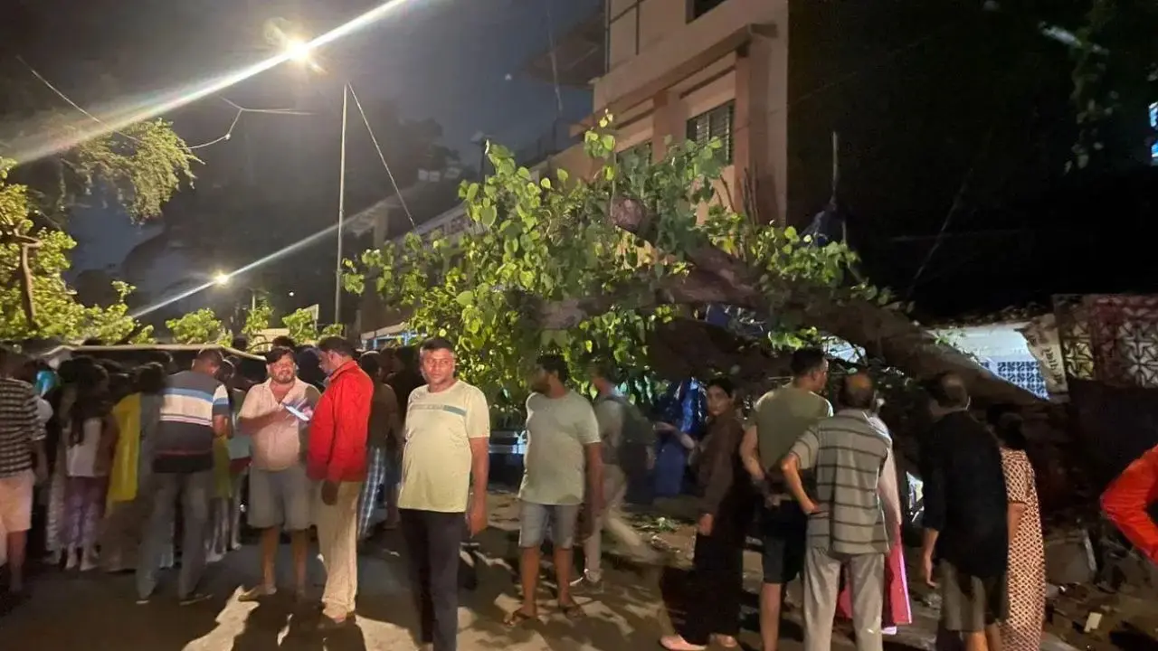 Mumbai rains: Two seriously injured as tree falls in Powai amid heavy showers