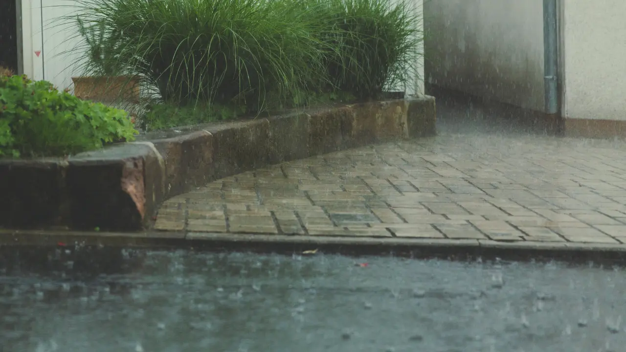 Use mosquito repellents and avoid stagnant water near the house, and in pots, pans, or cans to prevent dengue and malaria