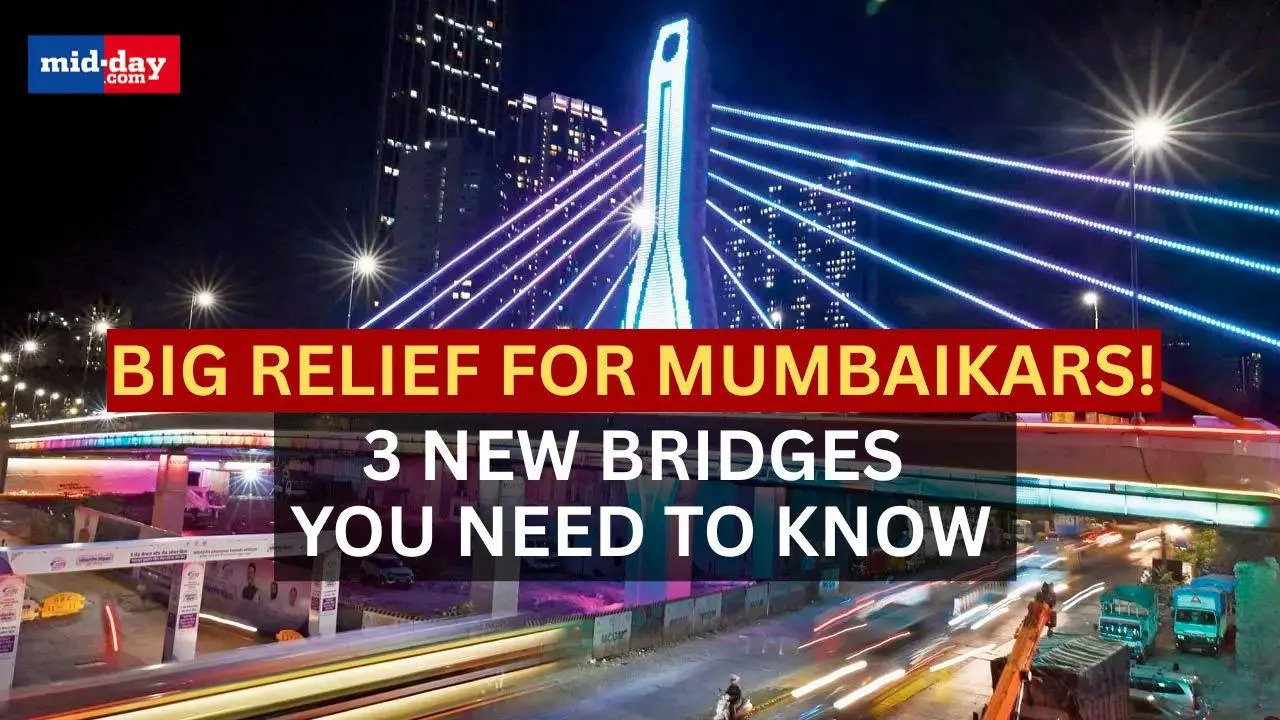 Mumbai: CM inaugurates 3 new bridges to ease traffic congestion