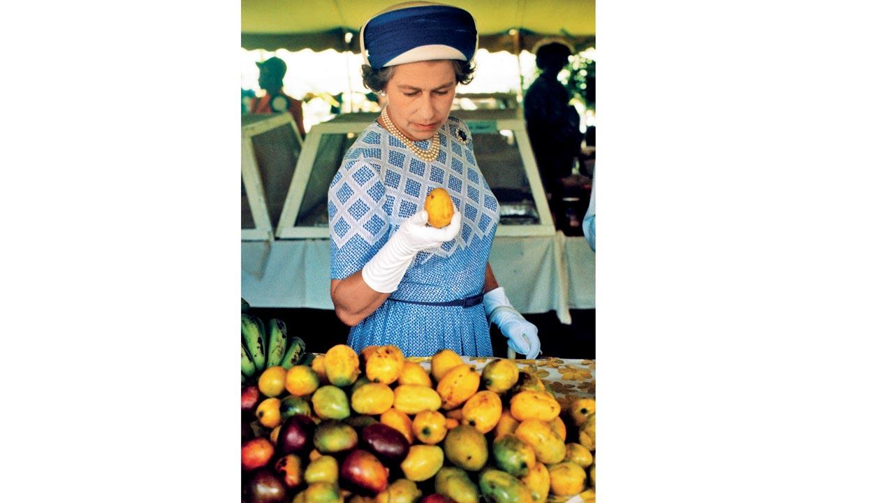 Queen Elizabeth II picks up a mango at a market in the British Virgin Islands, 1977