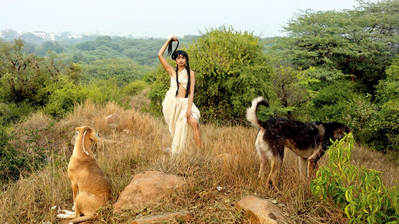 Aditi Veena, a singer-songwriter who goes by the stage name Ditty has become known for her introspective, ecologically conscious music — a blend of poetry, acoustic textures, and ambient soundscapes