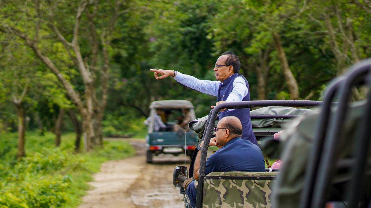 Home to the iconic one-horned rhinoceros, Kaziranga also serves as a breeding ground for elephants, wild water buffalo, and swamp deer. Rising tiger numbers led to its Tiger Reserve status in 2006