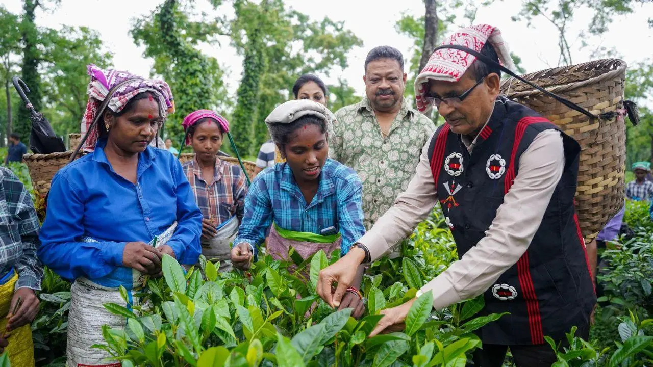 IN PHOTOS: Shivraj Singh Chouhan visits Assam's Hatikhulli estate