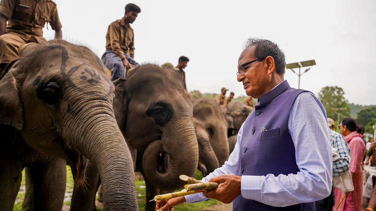 The Minister feeds elephants during his visit to Kaziranga National Park