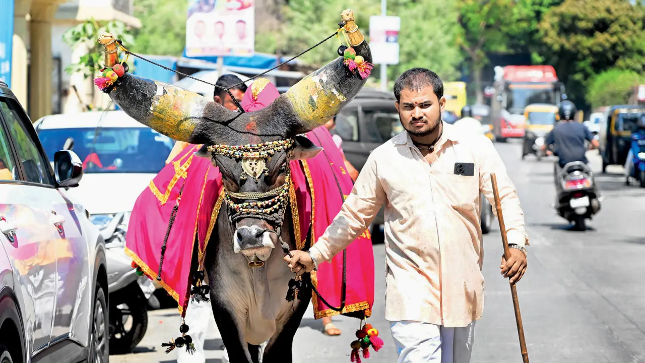 Mumbai Diary: Sunday Dossier