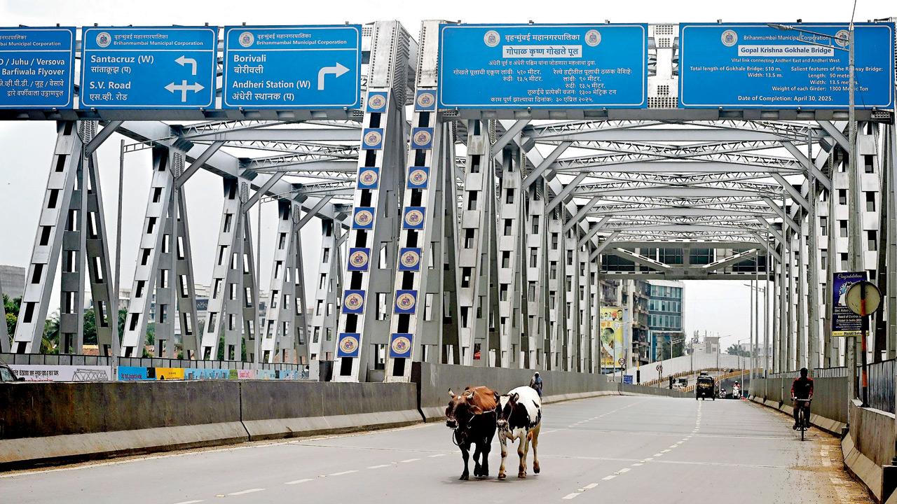 Mumbai Diary: Monday Dossier