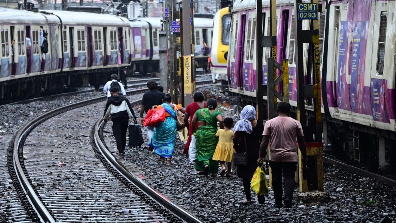 BMC under BJP rotten to the core: AAP slams civic body's monsoon preparedness