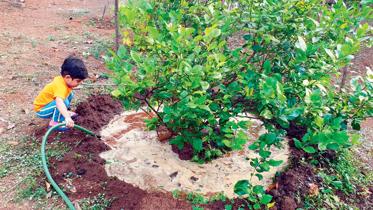 A child waters a plant during a previous summer camp