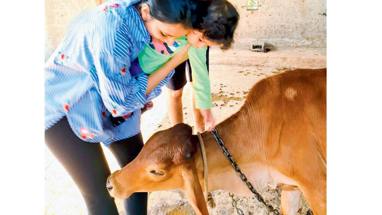 Farm-fresh adventures: Experience a day in the life of a farmer at this event in Yeoor Hills