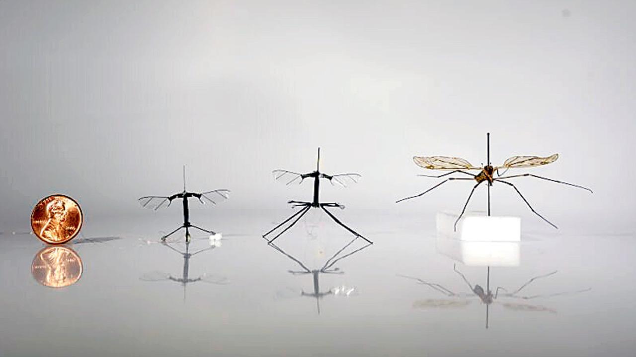 PIC/HARVARD MICROROBOTICS LAB