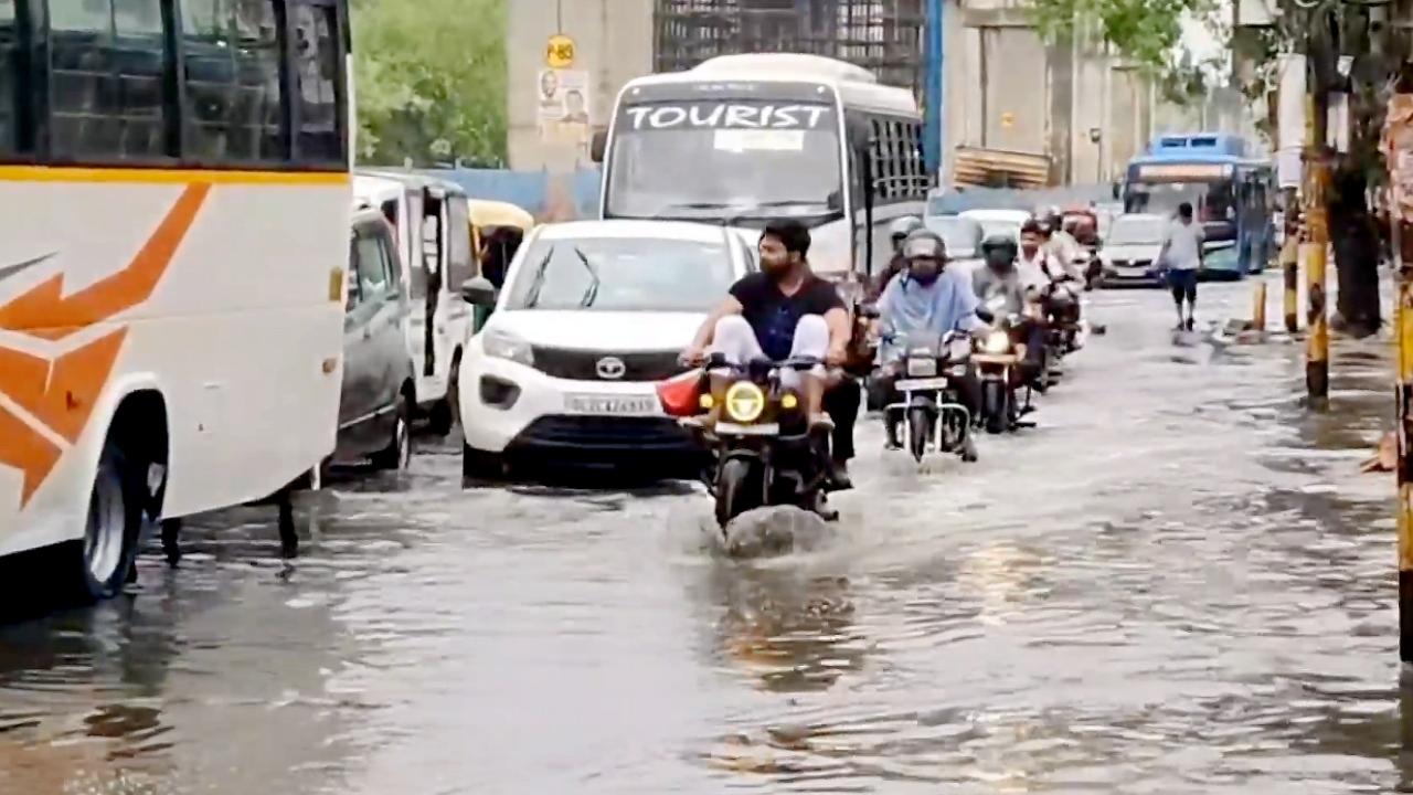 Four people, including a woman and her three children, were killed and one injured when a neem tree fell on a tubewell room at a farm in Kharkhari Canal village, Dwarka, due to strong winds on Friday morning
