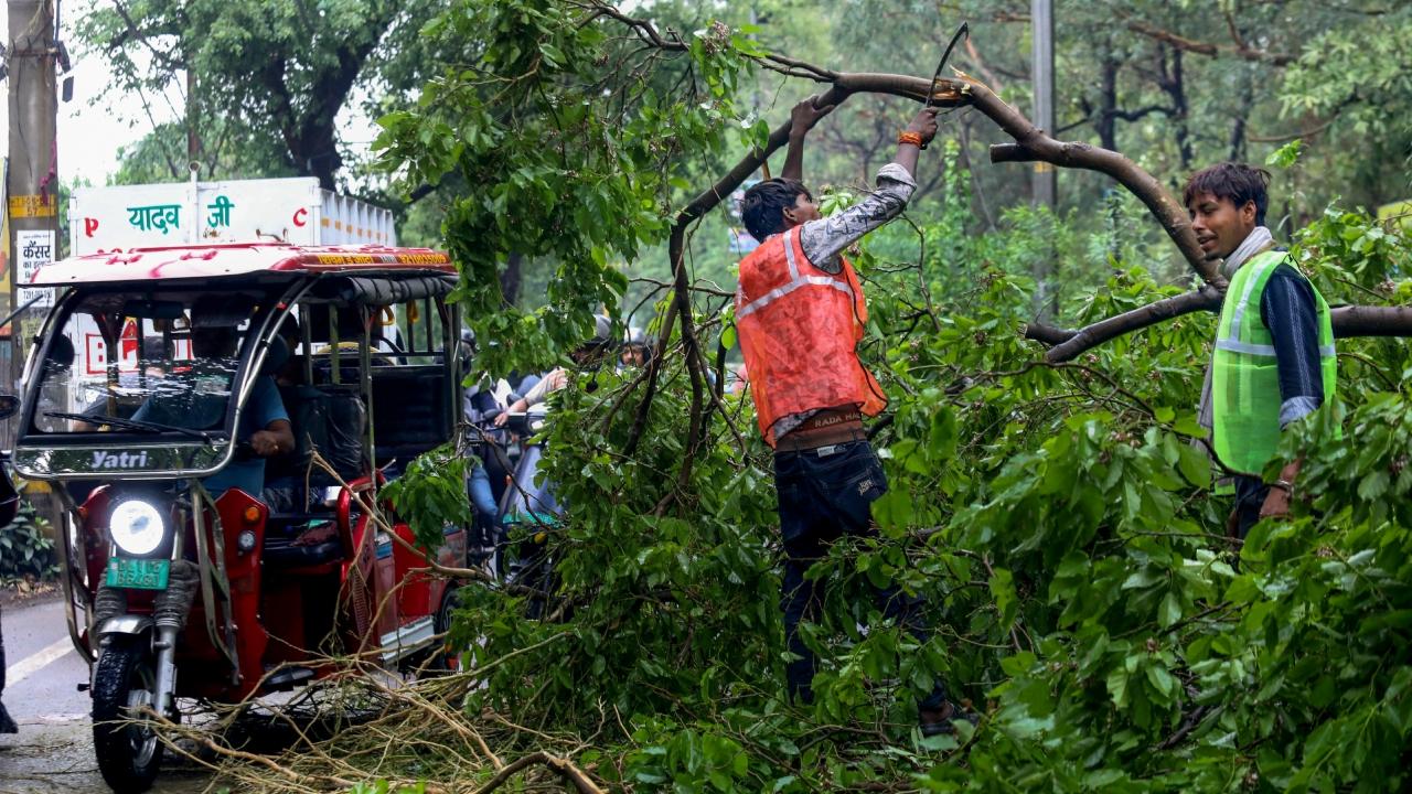 With the assistance of the police and fire brigade, they were rescued from the debris and taken to RTR Hospital in Jafferpur Kalan, where all four were pronounced dead
