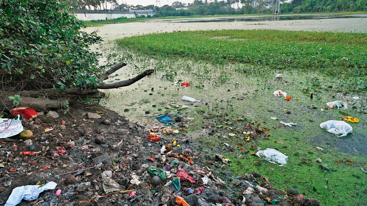 Conservationists argue that wetland recognition would allow for better protection of Lokhandwala Lake. File pics/Satej Shinde