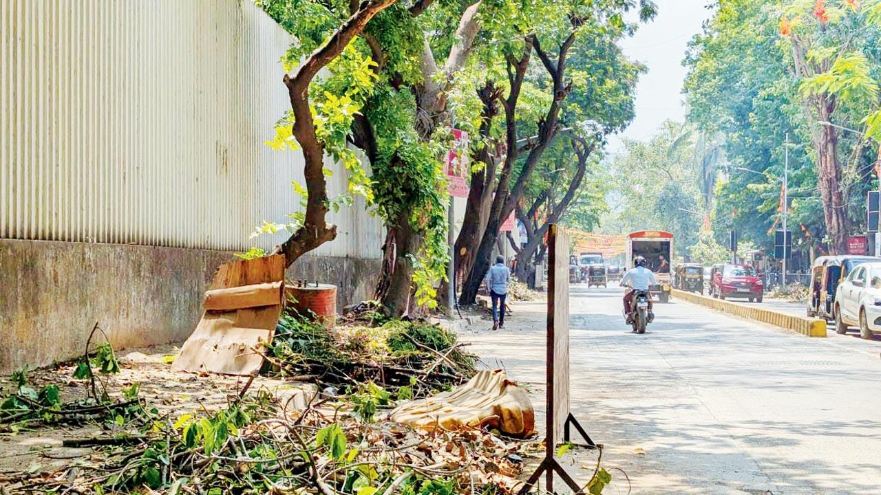 Piles of pruned tree branches are adding to the mess near Andheri RTO