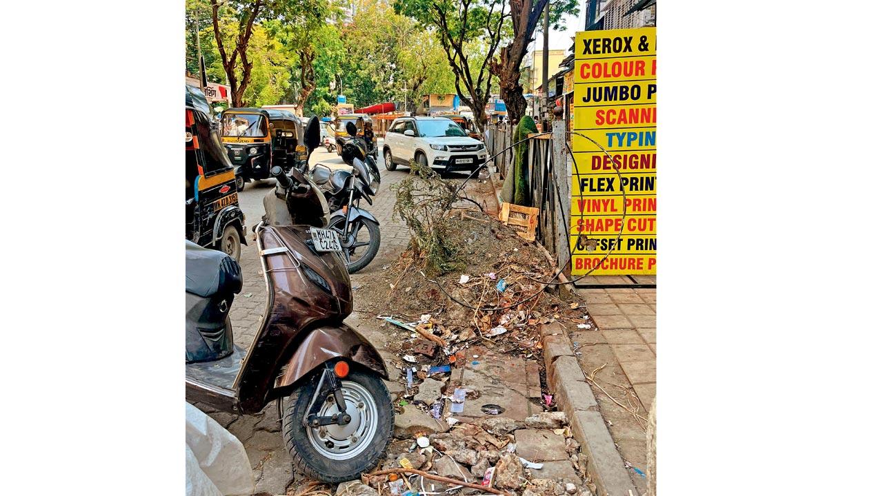 Waste has become a breeding ground for mosquitoes in Dahisar East