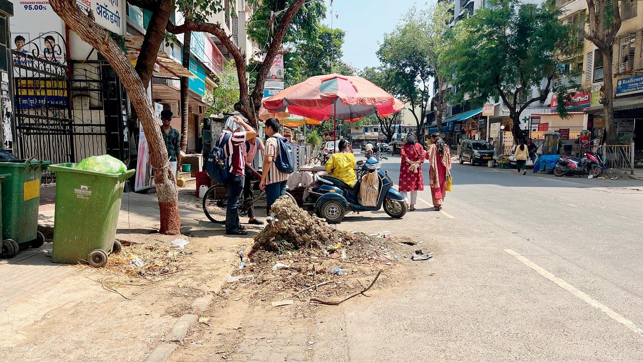 Waste has become a breeding ground for mosquitoes in Dahisar East