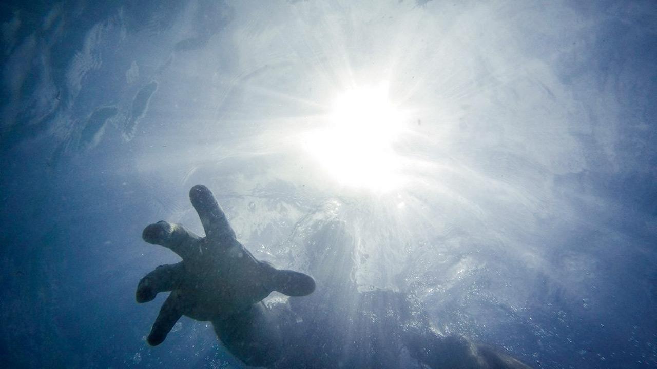 Accidental deaths, drownings and spinal as well as brain injuries are common at civic-run swimming pools. Representation Pic/iStock