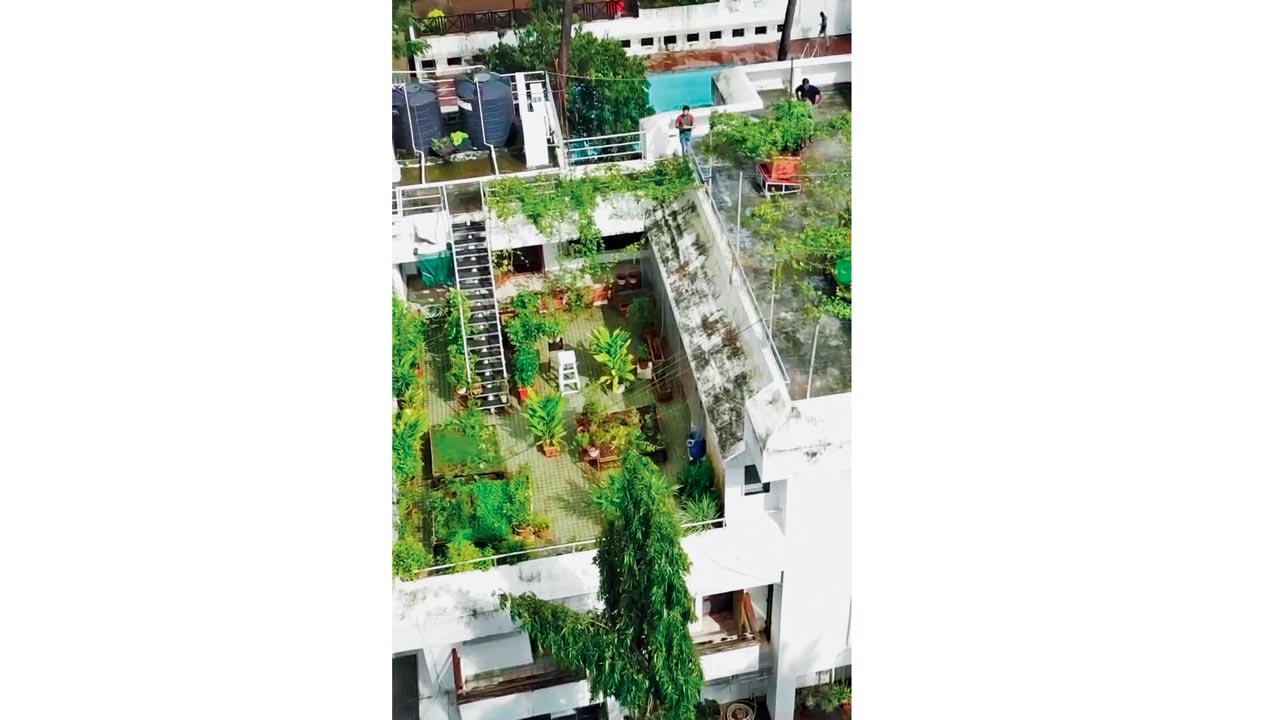 Una vista aérea del jardín 