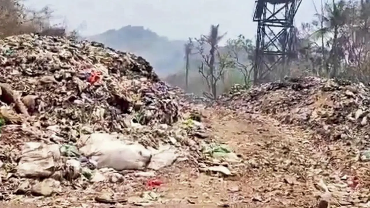 Forests are not meant for dumping of garbage, debris