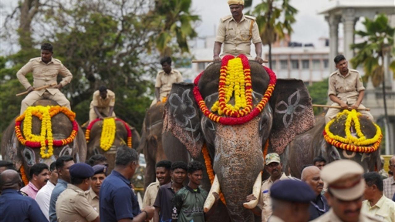 The elephants given to Andhra Pradesh are: Krishna (15), which was captured in Chikkamagaluru in 2022; Shivamogga Abhimanyu (14), captured in Honnali in 2023; Deva (39), captured in Kushalnagar in 2019; and Ranjan (26), an elephant born in the Dubare camp