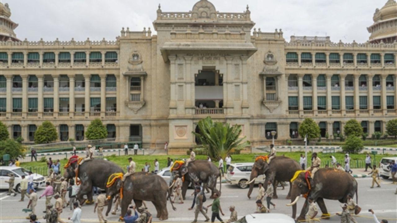 According to Siddaramaiah, there are 3,695 elephants in Karnataka, which is likely the highest in the country
 