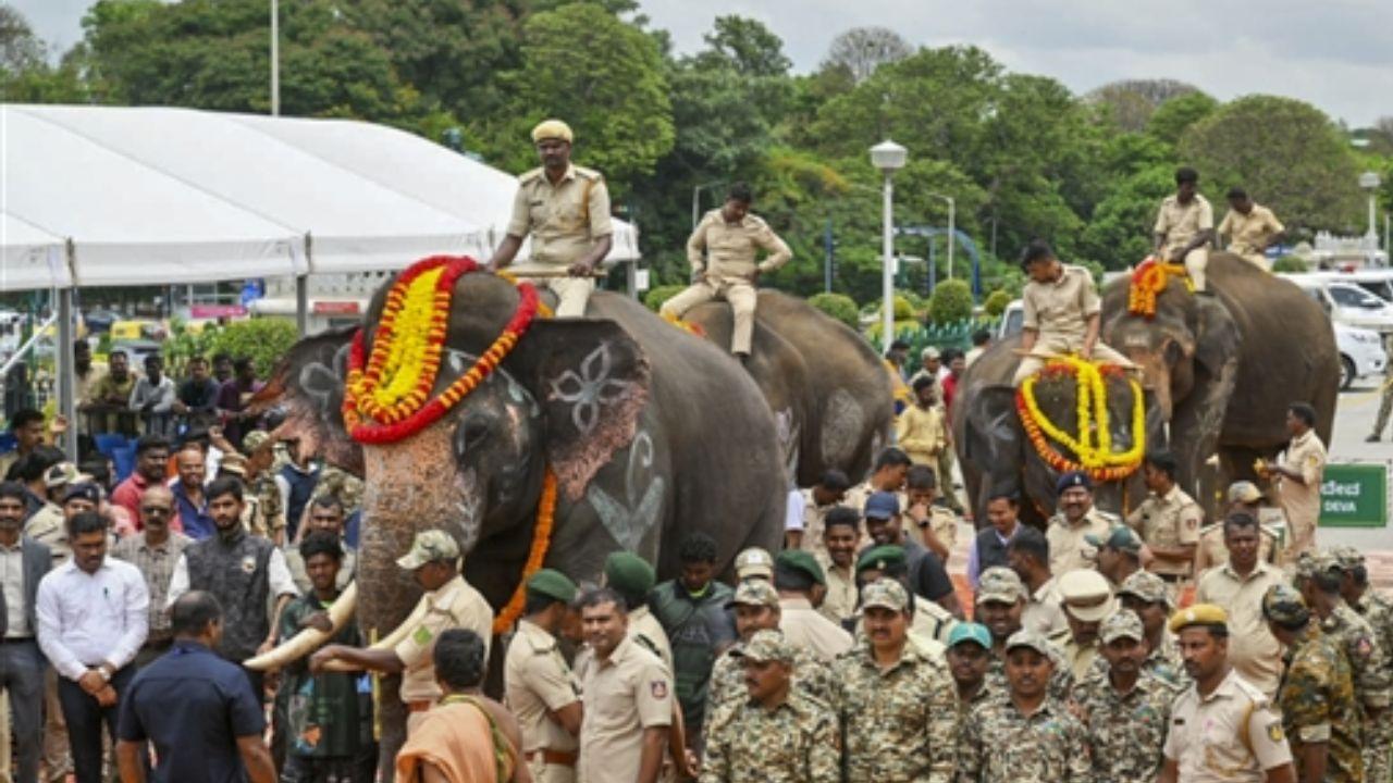 Kumki elephants will help tackle the menace of wild elephants, destroying crops and occasionally attacking people in Andhra Pradesh, by driving wild herds back into forest limits