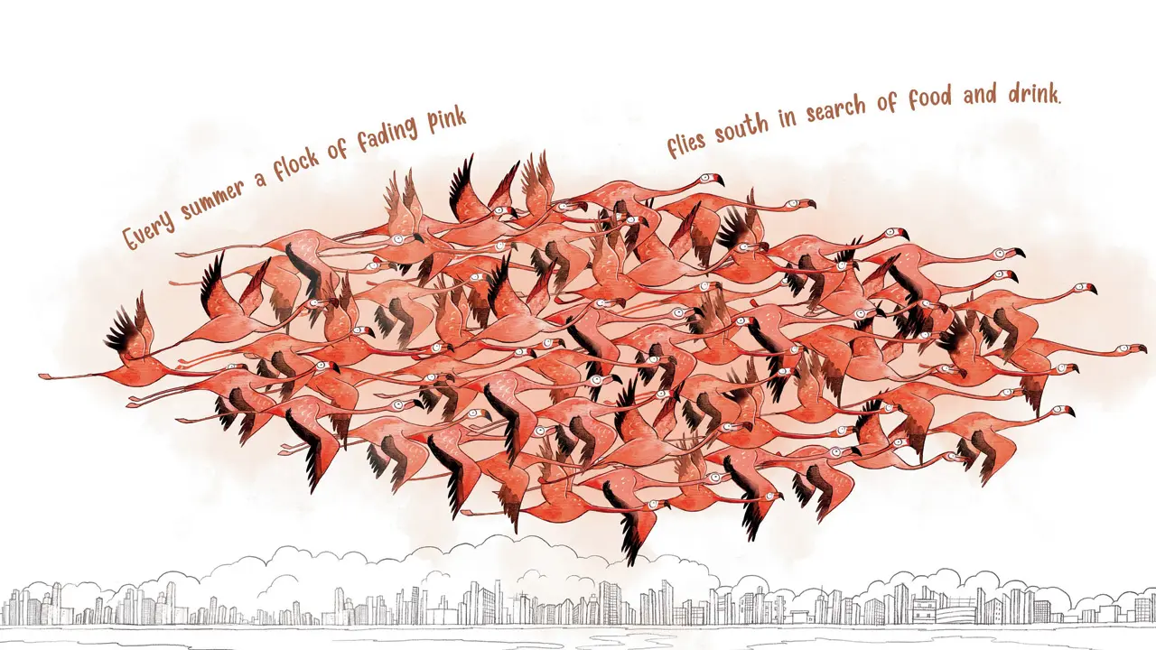 This children's storybook based on flamingos conveys an environmental message