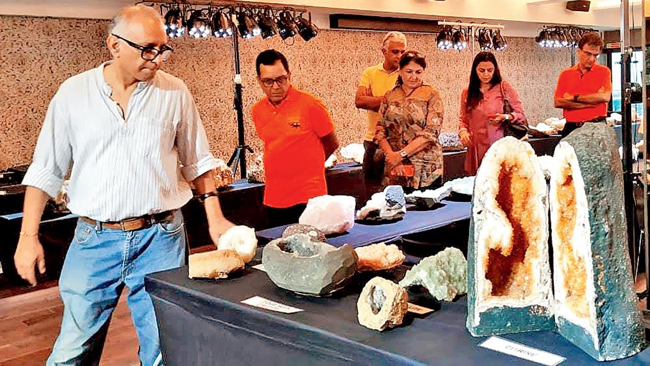 Vikram Rao guides visitors at a previous showcase