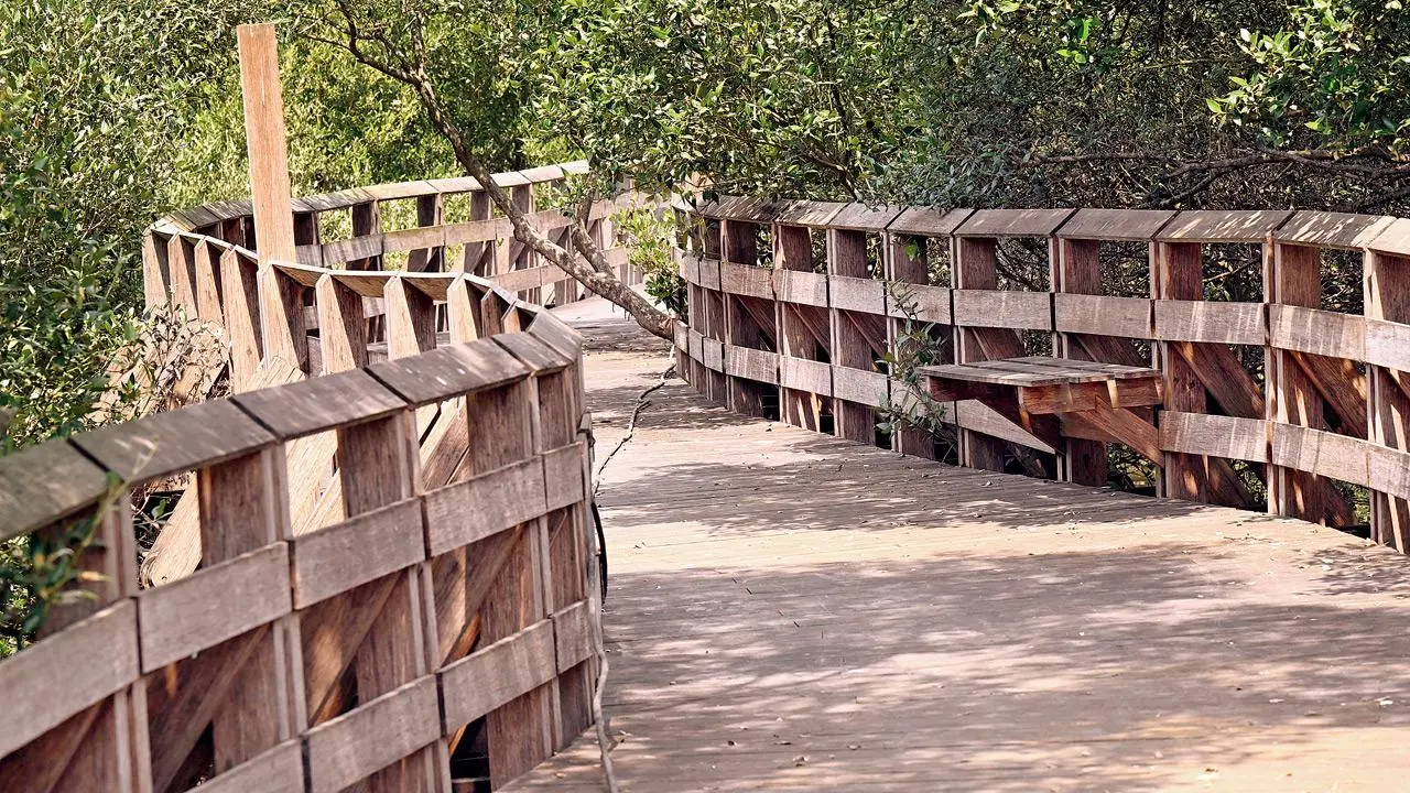 Mumbai: Gorai mangrove park will now open only next month