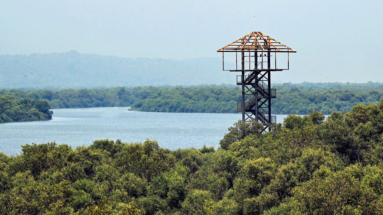 Watchtower facing the Gorai creek