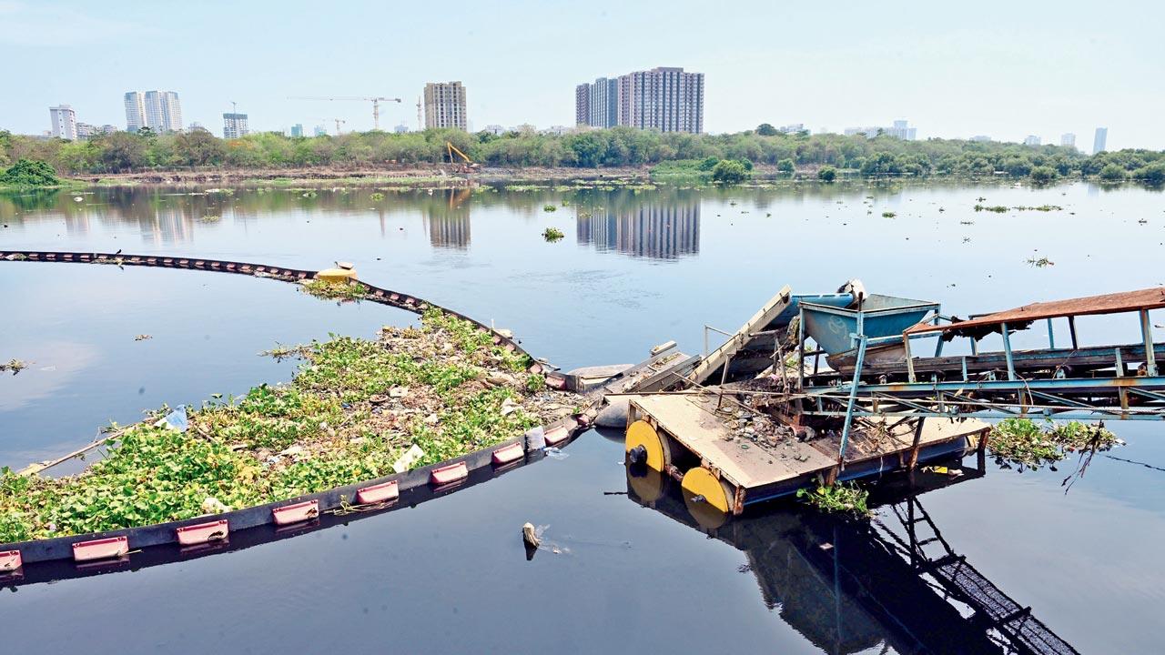 A trash boom connected to a conveyor system clears garbage